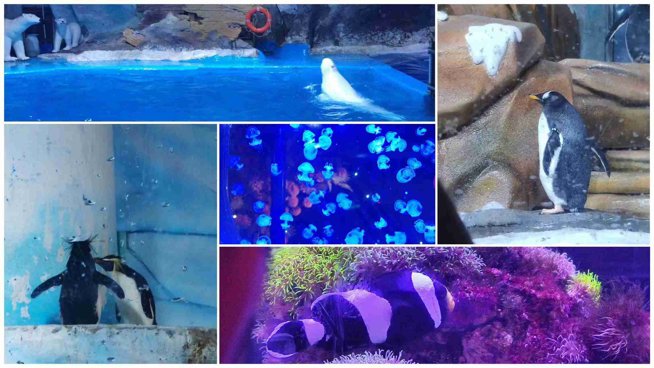 ����������(�й�)������-�й�����